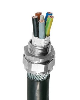 BW Cable Gland<br><span>industrial / general purpose braid, pliable wire & steel tape gland</span>